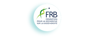 Logo-FRB